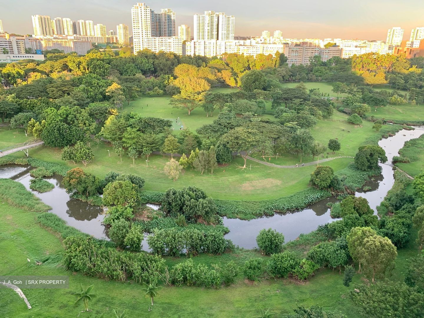 Clover By The Park (D20), Condominium #622687561
